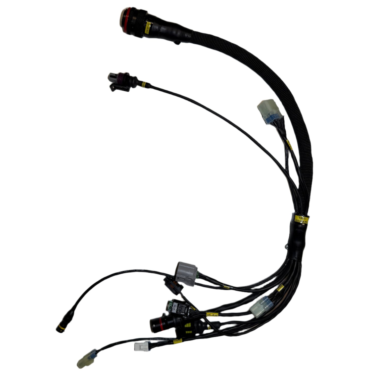 CABLAGGIO ANTERIORE - FR.163.111